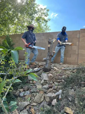 C&A Local Landscape - Landscape Construction in Prescott Valley, AZ