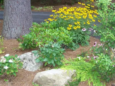 Allen Home Landscape Design and Install — Landscape Design project by Four Seasons Landscape