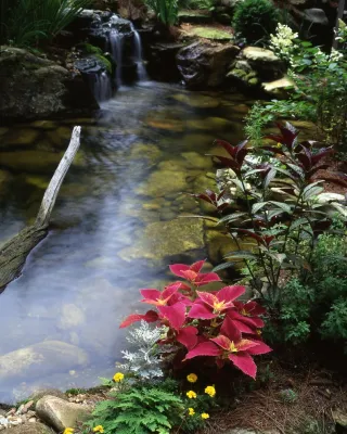 Lost Trail Landscape Design, Build, with Water Feature (Fountain/Pond) — Landscape Design project by Four Seasons Landscape