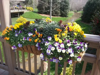 Seasonal Color Displays — Landscape Design project by Four Seasons Of Georgia in Macon