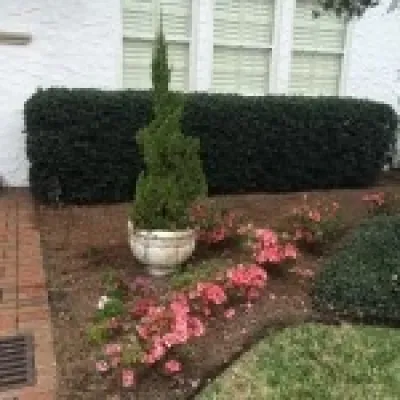 Landscape & Garden Design — Landscape Design project by Foxy Foliage, Inc in Jacksonville