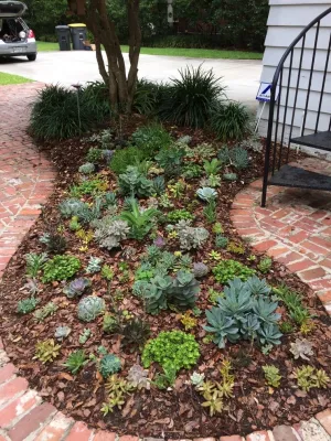 Foxy Foliage, Inc - Deck Building & Repair in 