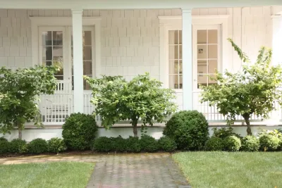 Fritz&Gignoux Landscape Architects - Deck Building & Repair in Dc, 