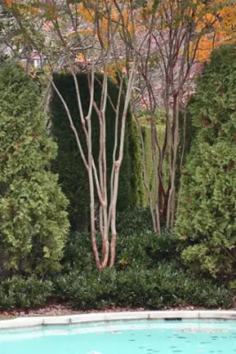 French Riviera — Landscape Design project by Fritz&Gignoux Landscape Architects in Washington