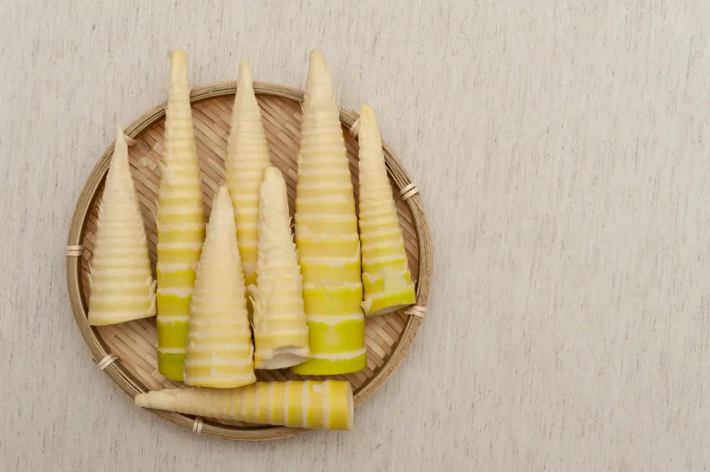 Bamboo Shoots
