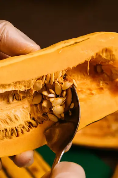Delicata Squash