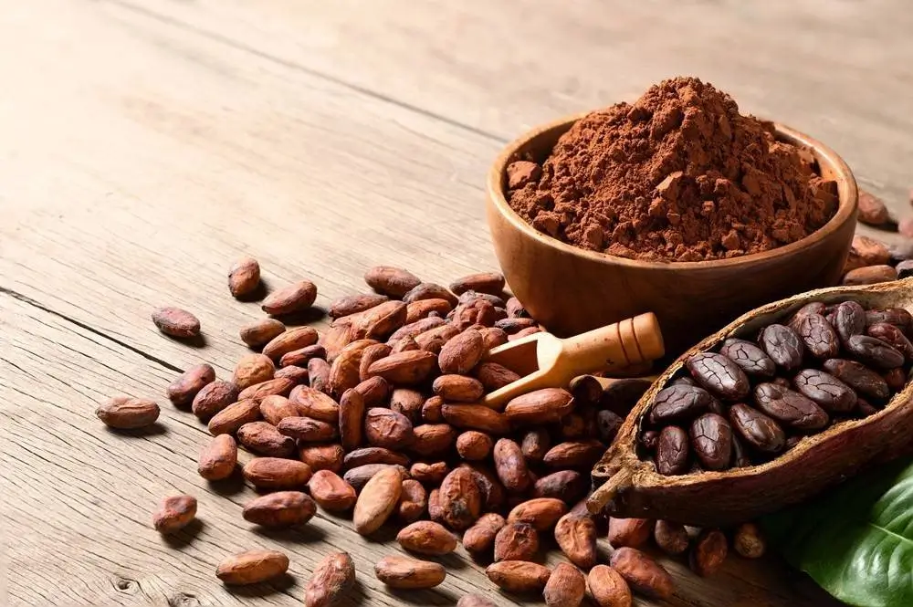 Cacao Cultivation: A Complete Guide for Growing Chocolate Trees