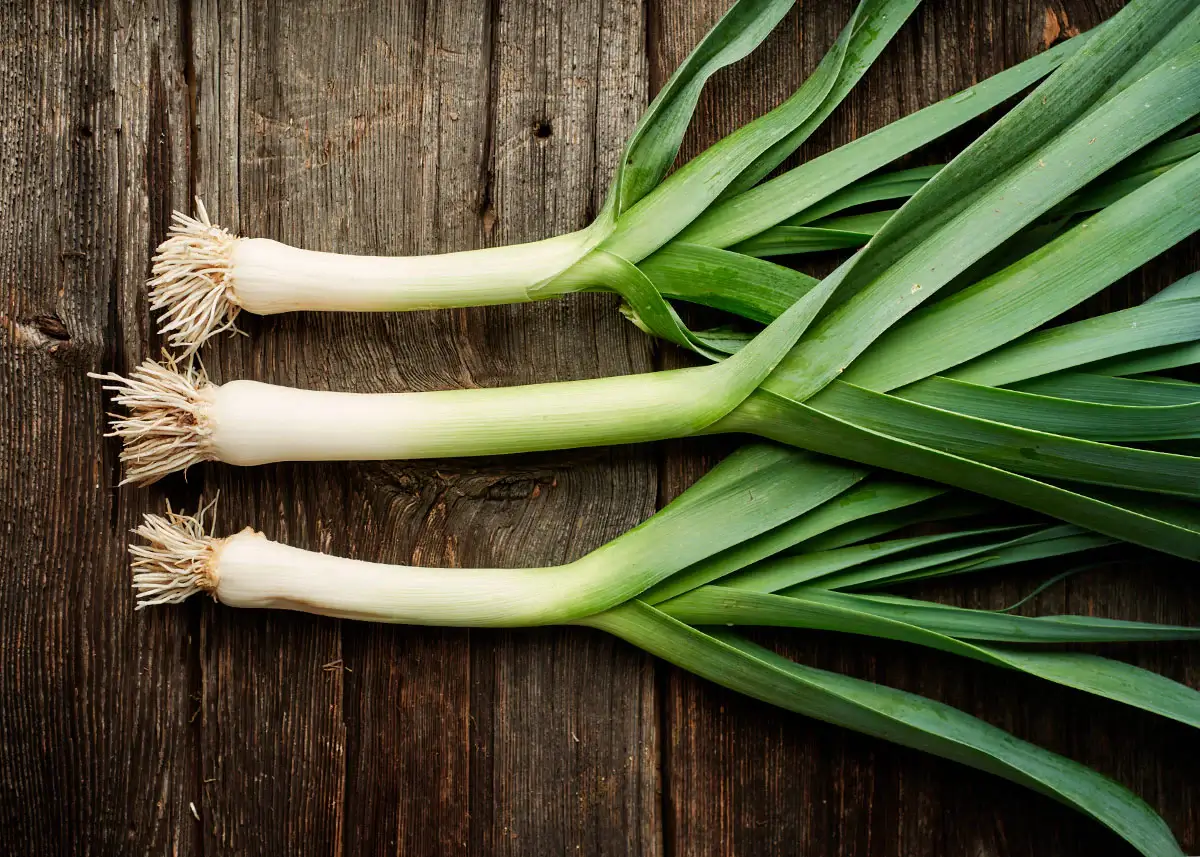 Leek American Flag