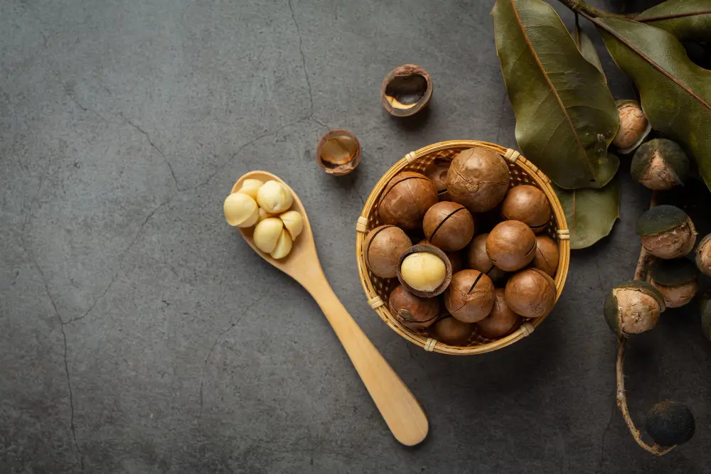 Macadamia Nut