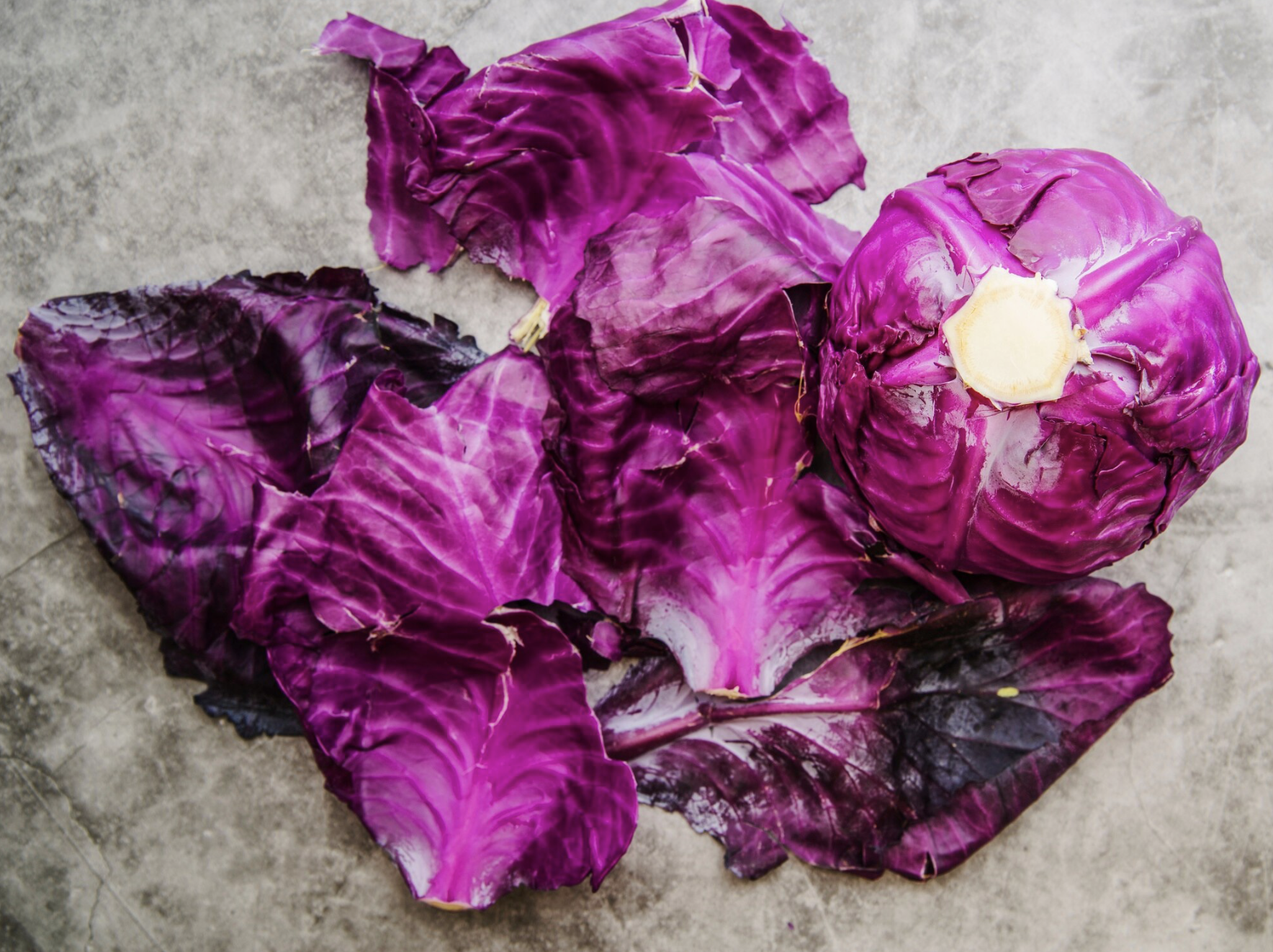 Radicchio