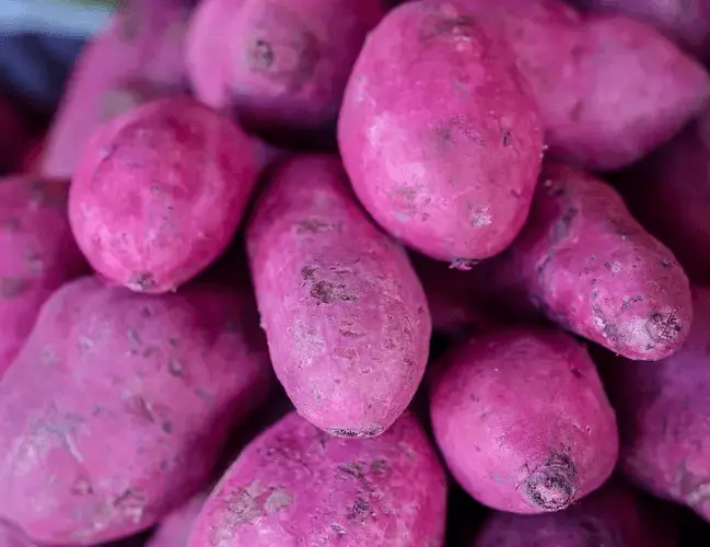 Yam