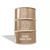 2021 Gas - 10