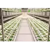Racks and Shelving Options: Versatile Storage Solutions by BMH