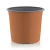 6″ Thermo Azalea Tc/Bk 854/Cs 11 Cs/Plt