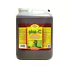 Photosynthesis Plus – C