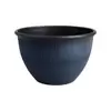 Nori Bowl