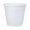 Liam Planter