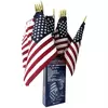 Heath 36ct 12"x18" Stick Flag with Finial Tip Display Pack