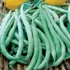 Beans, Tenderette Bush - 25lb