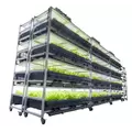 AEtrium-2.1 Vertical Cloning