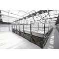 AEtrium-4 Aeroponic Blooming