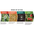 Organic Soil Microbial Food - PhycoTerra®