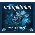 Winter Frost