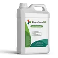 Seed Treatment - PhycoTerra®