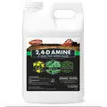 2,4-D Amine 4 2.5Gl (2/CS)