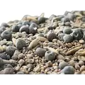 LOS Cover Crop - Custom Blend