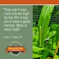 Harvest Gold Organics Premium Soil Conditioner: 10 Bag BundleHarvest Gold Organics Premium Soil Conditioner: 10 Bag Bundle
