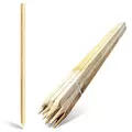 Edrich Lumber Tomato - Reforestation Stakes Pack Of 25