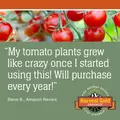 Harvest Gold Organics Premium Soil Conditioner: 2 Bags Bundle