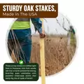 Edrich Lumber Survey Stakes - Pack Of 25