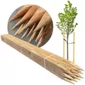 Tree Stakes Edrich Lumber - Pack Of 12