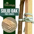 Tree Stakes Edrich Lumber - Pack Of 12