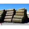 Wood Lodge Pole - 6'' By 8' Doweled - Pressure Treated - 46 PC/BDL