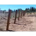 Split Cedar Posts - 4''-5'' By 8''