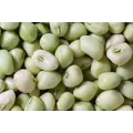Zipper Cream Peas 25#