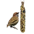 A&E Cage Garden & Fun Backyard Bird Single Seed Stick Multi-Colored