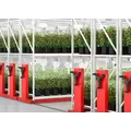 Ag-Tech Vertical Cultivation