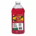 Perky Pet 64oz Hummingbird Nectar Red 15% Sugar RTU