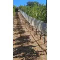 Shade Cloth - 24'' x 3000'- 30% White