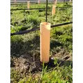 Grow Tube - 24''