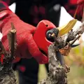 Felco F834 Electric Pruning Shear + Kit