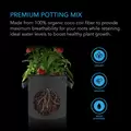 Coco Coir, Instant Potting Mix, 2 lb