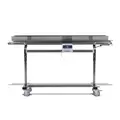 Mobius Infeed Conveyor