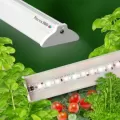 Procyon Pro Light - 33"