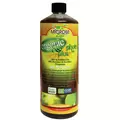 Organic Photosythesis Plus Ca