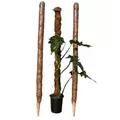 Coco Grow Poles